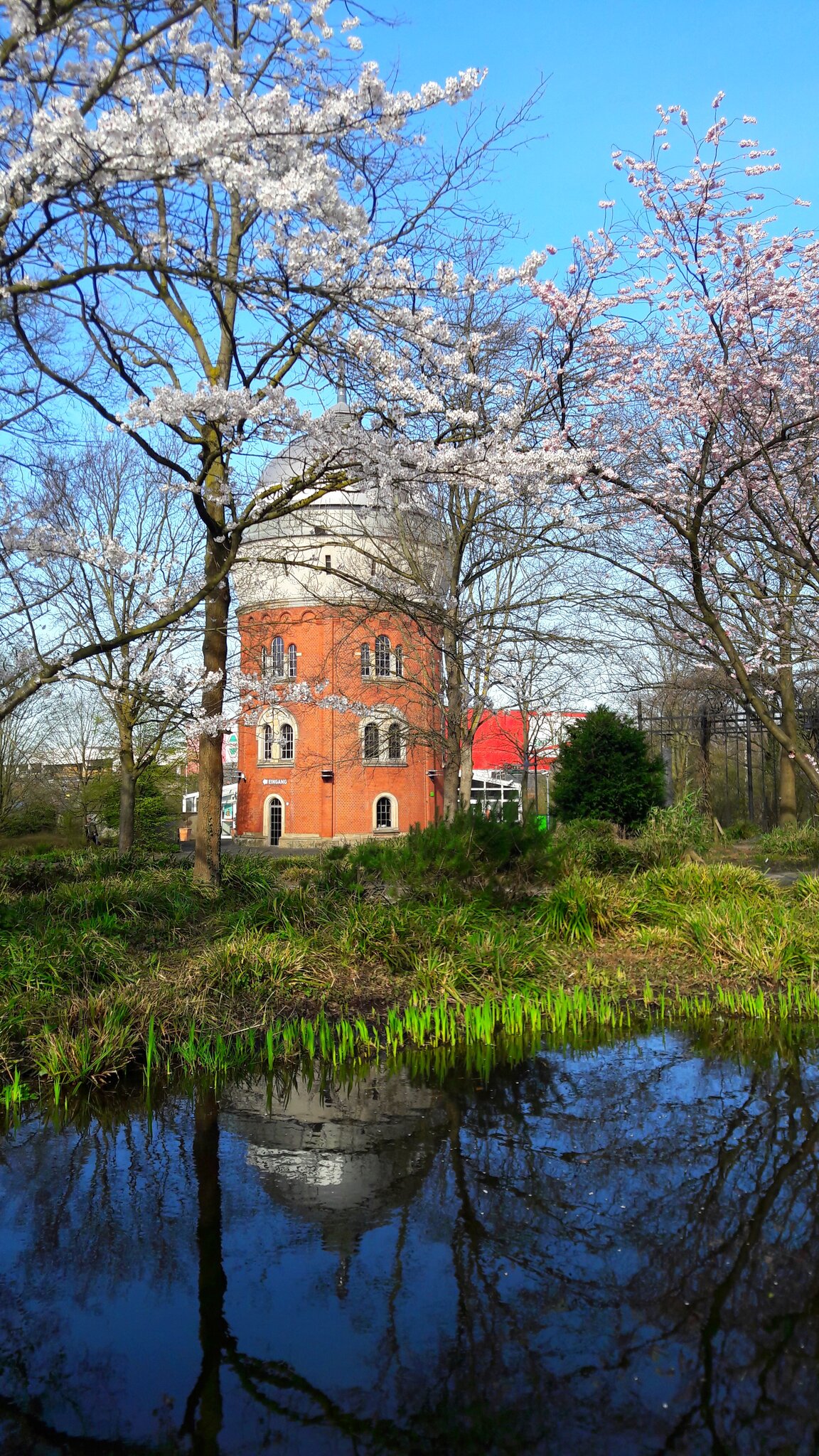 Frühling in der Müga