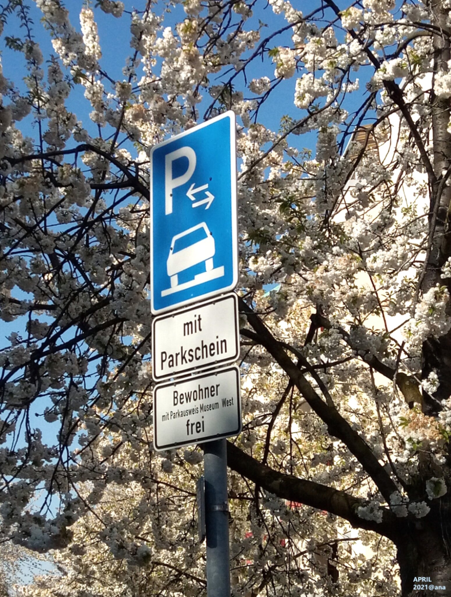 SCHILDER(Blüten)WALD...oder SCHÖNER PARKEN! )