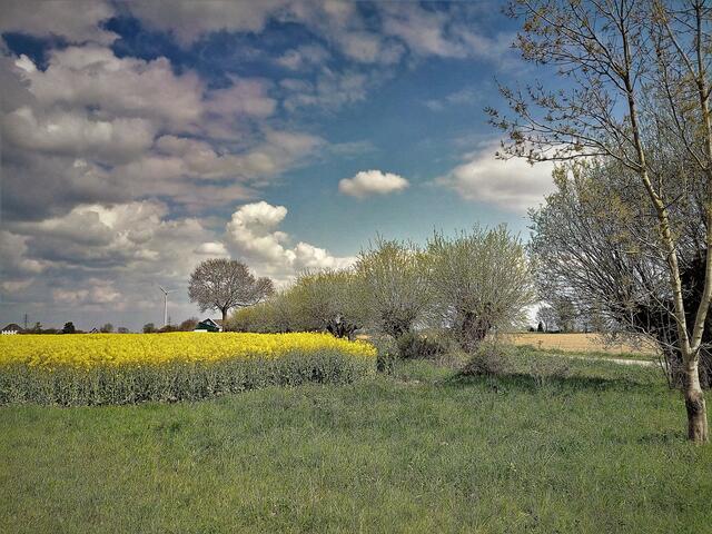 Fietstour 1. Mai ;-)
Sonne Wolken grünes Gras,
fahren mit de Fiets das ist schon was.
