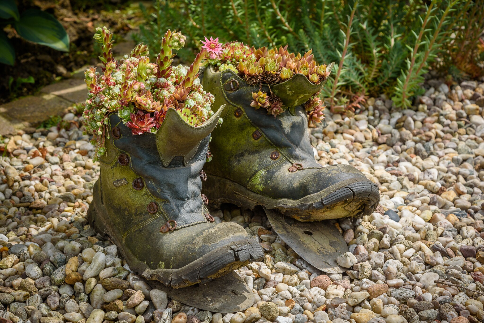 This boots are made for . . . . planting