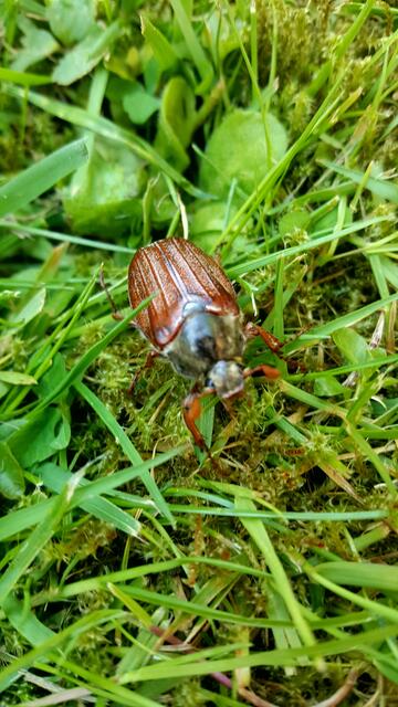 Ich hatte Besuch 🤗