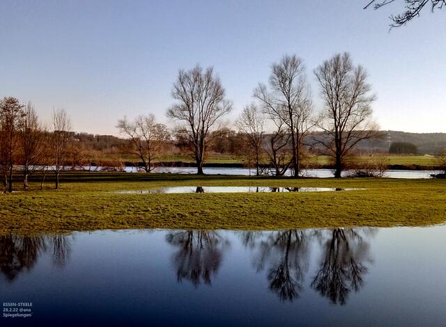 ...da spiegelt sich was´... BÄUME am Ruhrufer... an der leicht überfluteten "Hundewiese" , Essen-Steele... smile hatte was´:-))) 28.2.22 @ana...statt HELAU und ALAAF am Rosenmontag 2022 einfach NATUR, SONNE und Feierabend genießen...nen´"Beschwipsten Berliner" gab es abends dennoch :-))) @ana