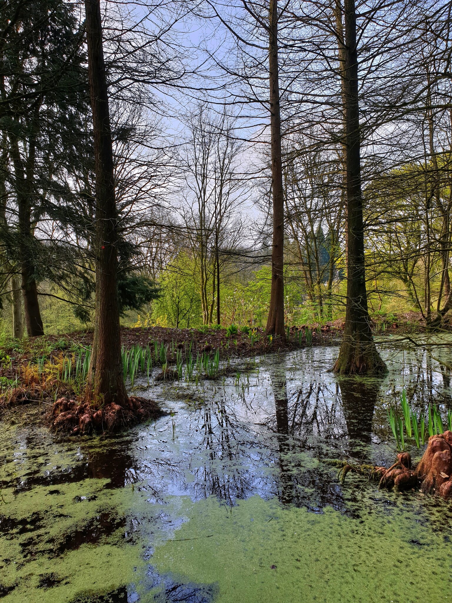 DER BOTANISCHE GARTEN BOCHUM.....