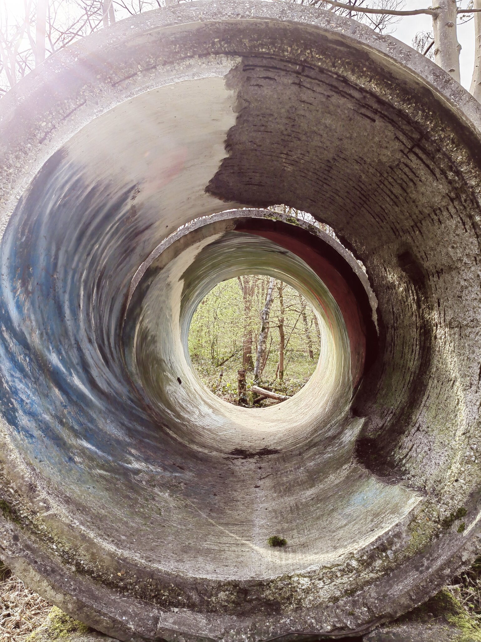 Wood Art Gallery, Krefeld Hüls