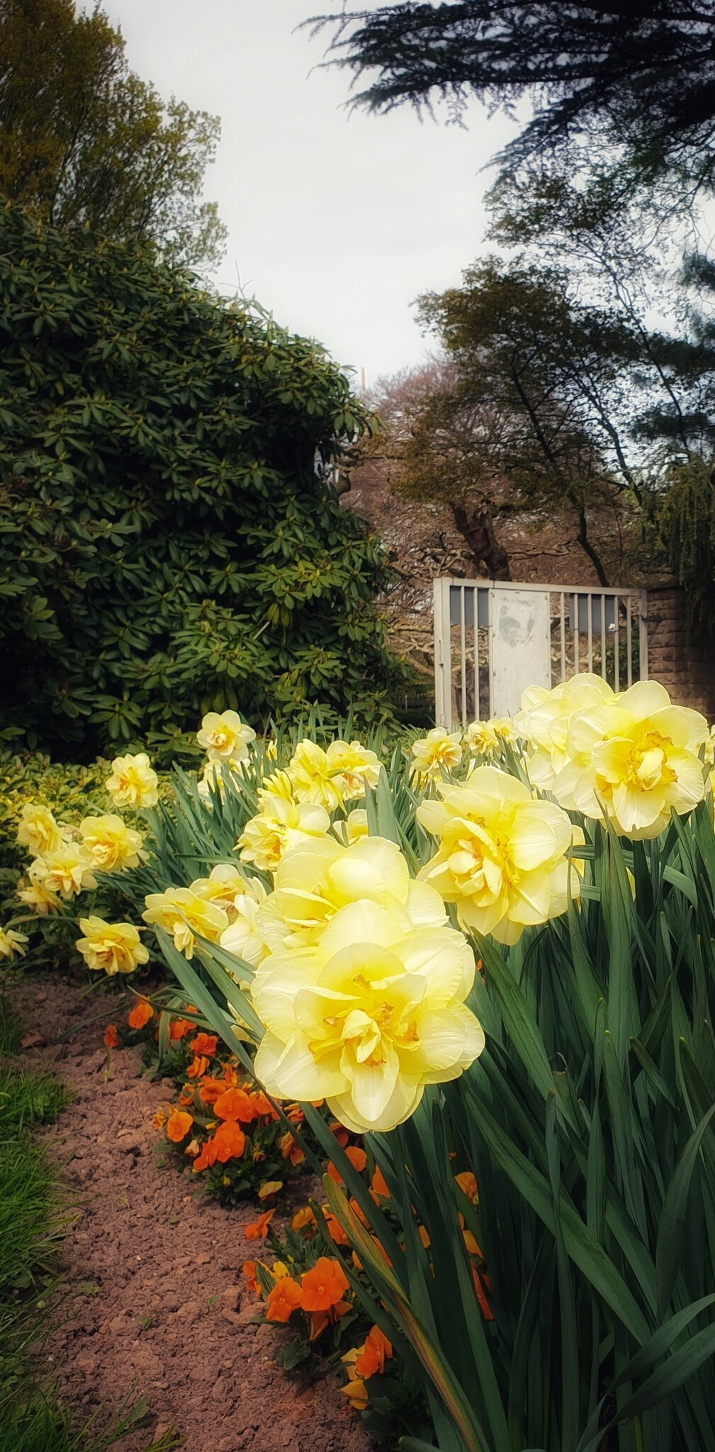 BOTANISCHER GARTEN KREFELD...