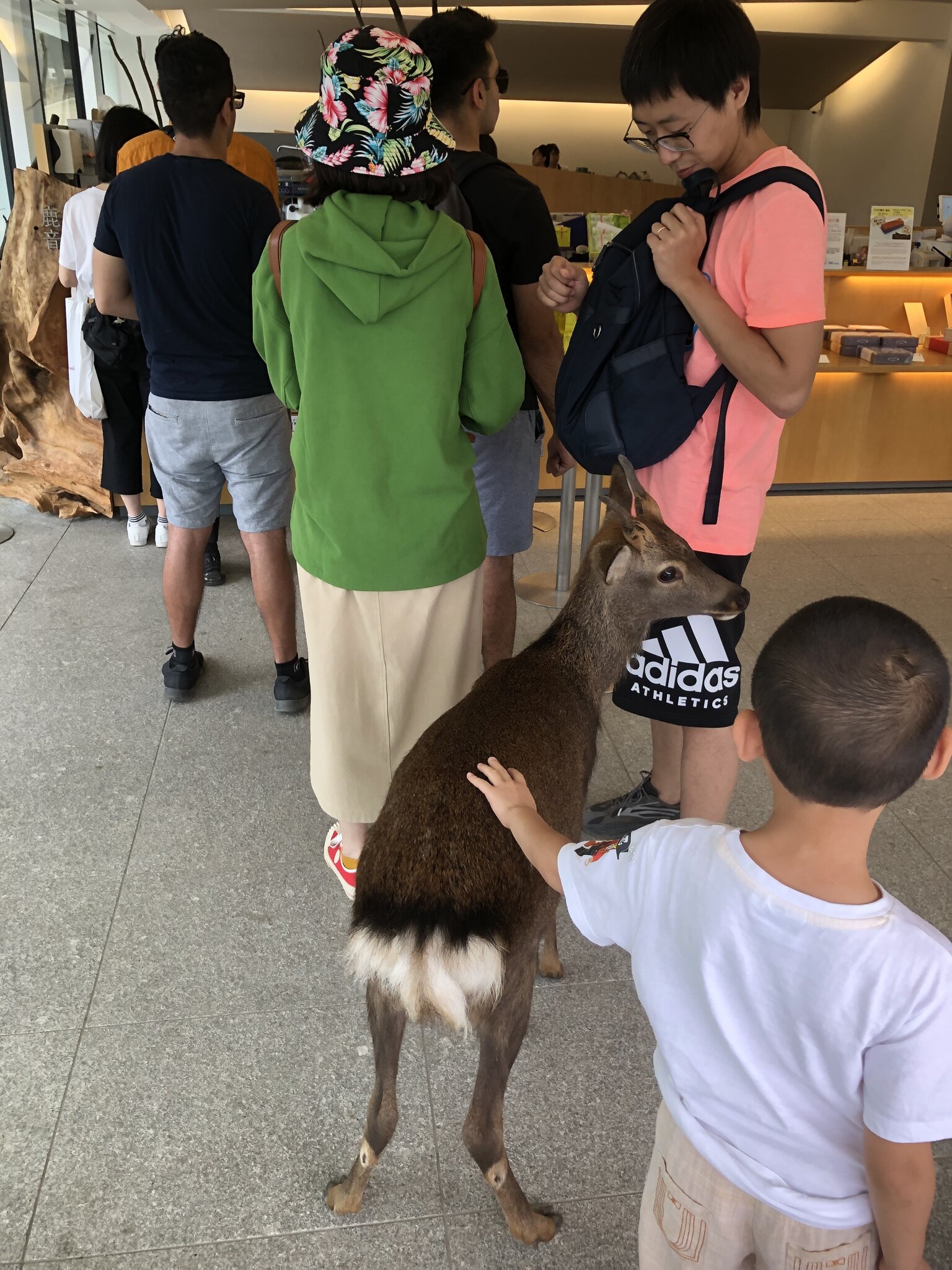 ich glaub mich knutscht ein 