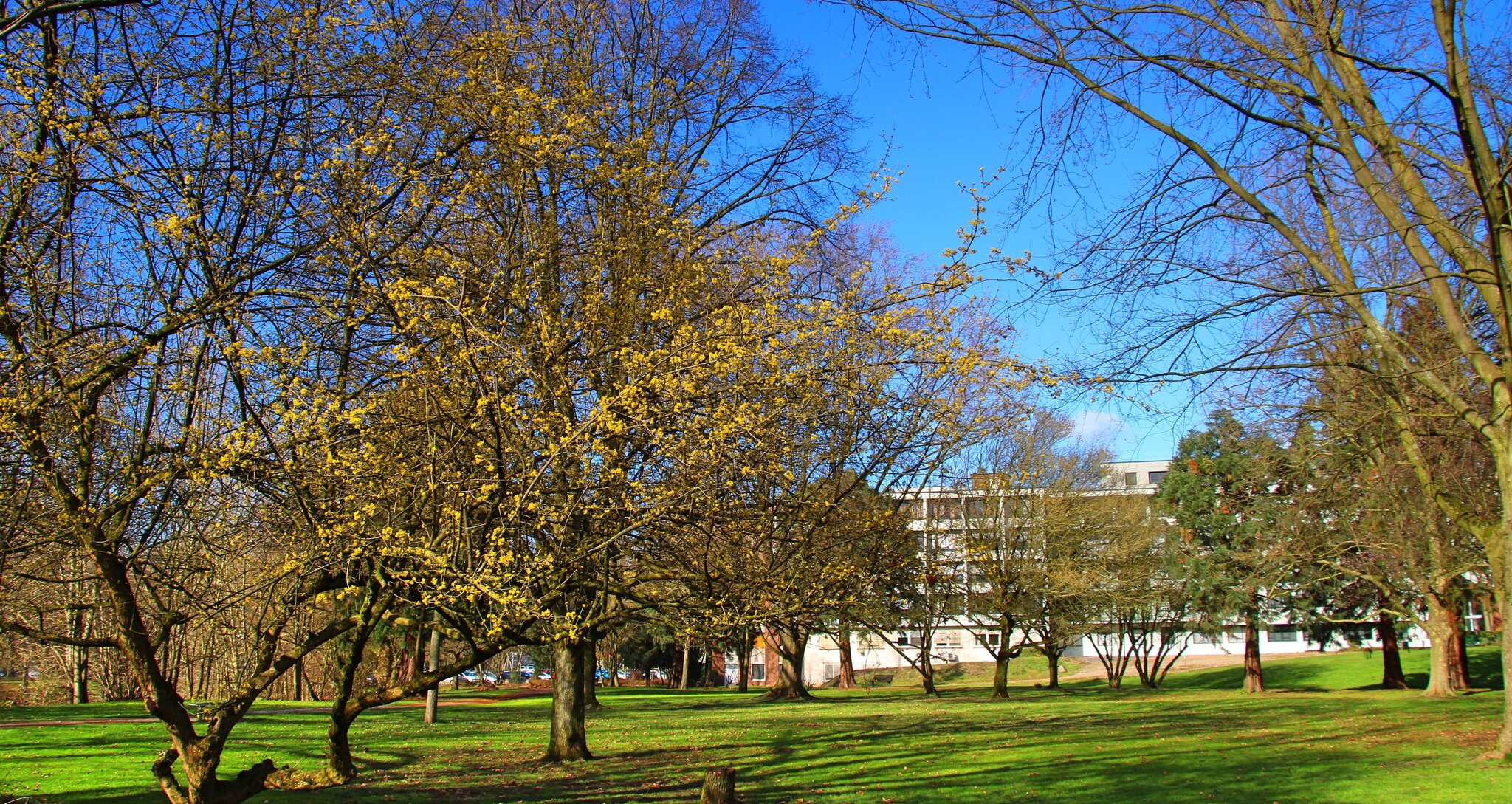 Volkspark Duisburg Rheinhausen