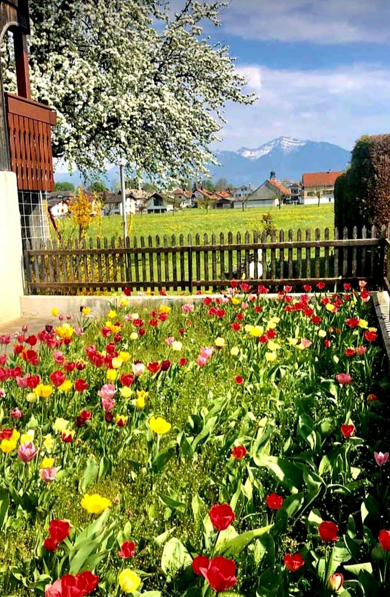 WILLKOMMEN IM FRÜHLING ....