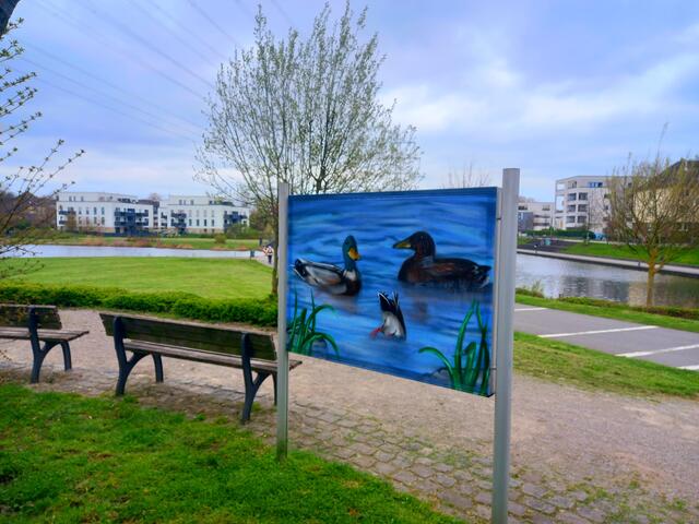 Schnappschuss vom Niederfeldsee
