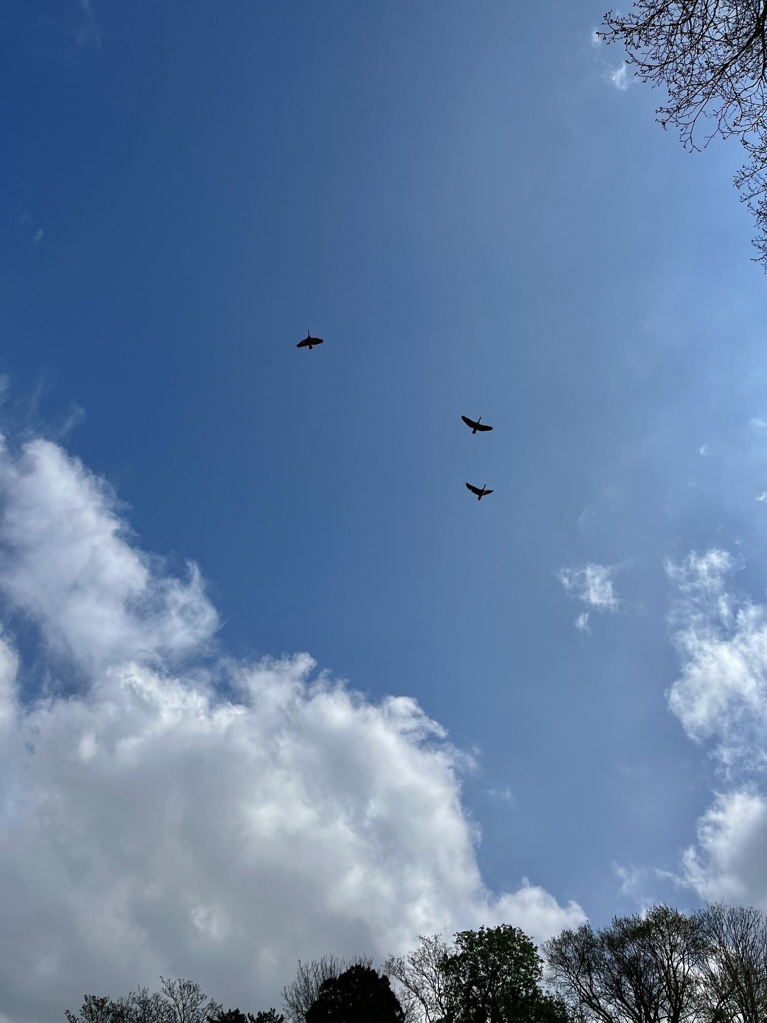 guten flug und eine schöne zeit