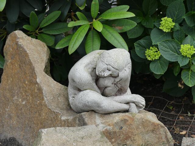 Anmut im Vorgarten | Foto: Eveline Freitag