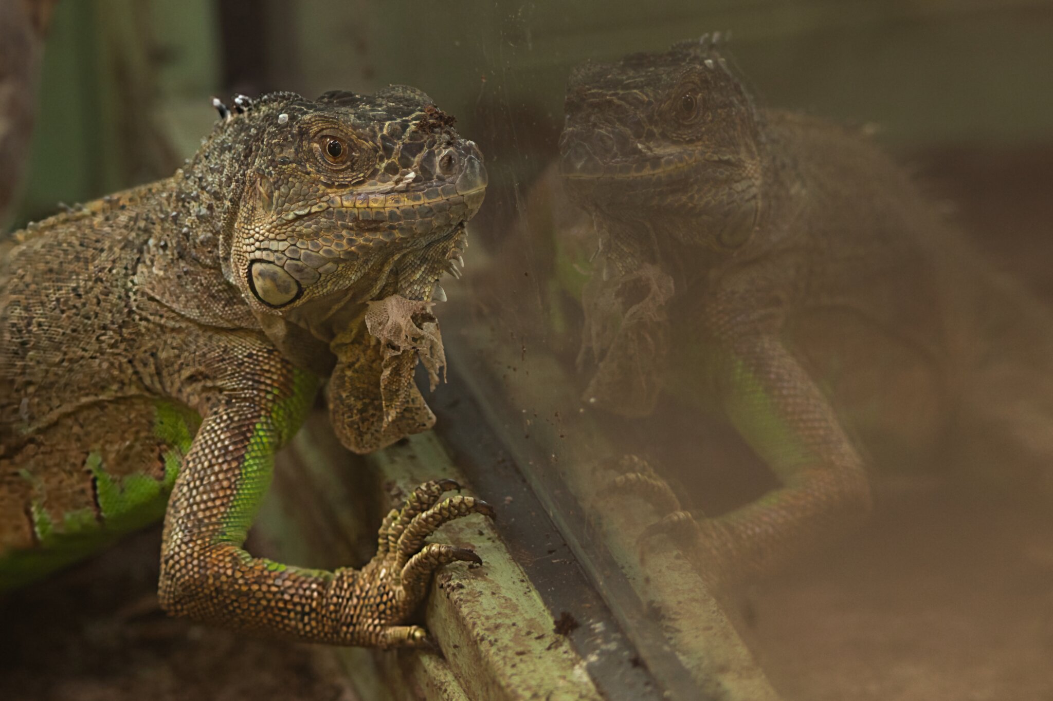 Wann hört es auf zu Regnen