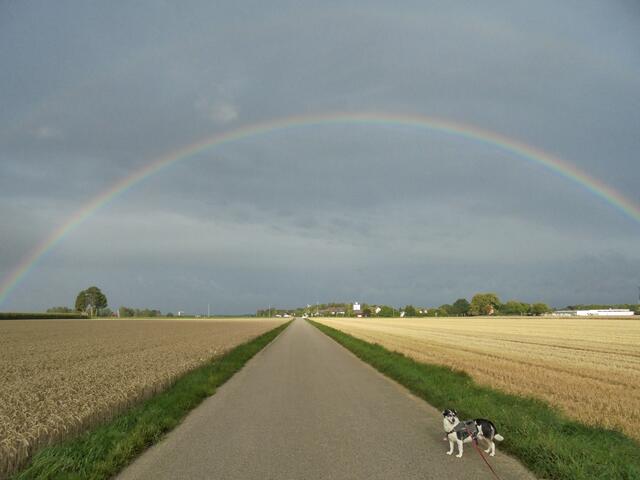 Die Arbeit läuft nicht davon, während du deinem Kind den Regenbogen zeigst, aber der Regenbogen wartet nicht, bis du mit deiner Arbeit fertig bist. – Chinesische Weisheit | Foto: Sabine Presnitz