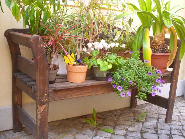 Sonnenmäßig sind die unteren Plätze benachteiligt. :-( | Foto: Jost Kremmler