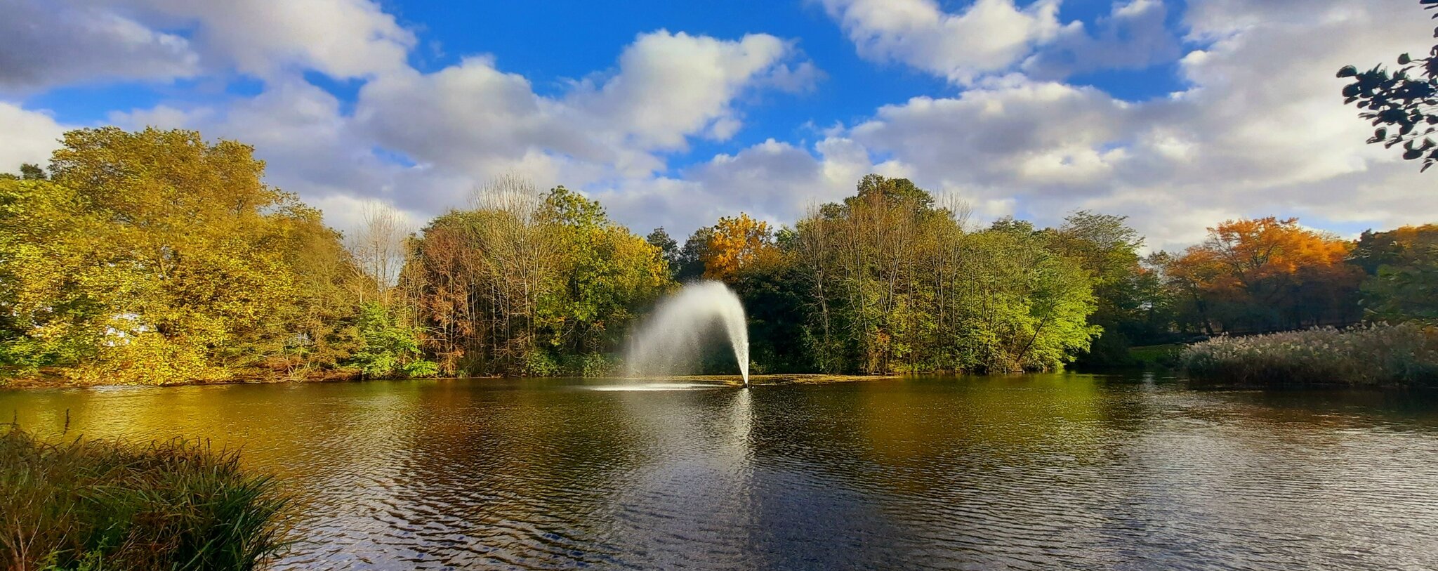 Teich in Rheinhausen
