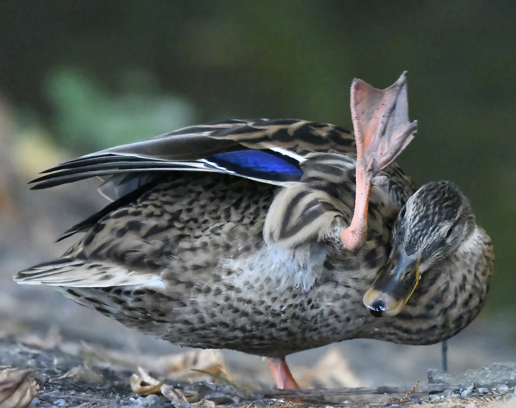 Grüße aus dem Pott!