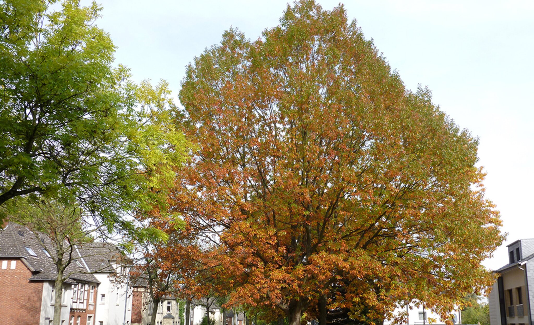  Foto zu Der Herbst 2023 ist nass und kalt 