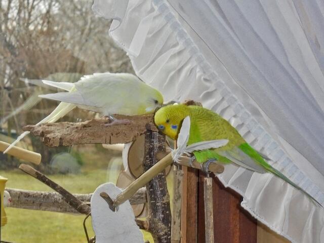 Sabine Presnitz | Foto: Sabine Presnitz