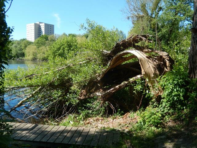 Havel südlich von Potsdam | Foto: JK