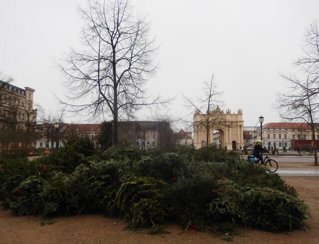 Auf dem Luisenplatz, im Hintergrund das Brandenburger Tor | Foto: JK