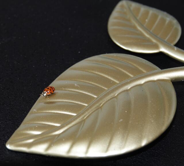 Das Leben schreibt deine Geschichte, doch du hast den Stift in der Hand.
(Verfasser unbekannt)
 | Foto: Günter Presnitz