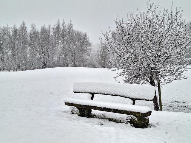 Winterimpression, Castrop-Rauxel, 9. Januar 2025