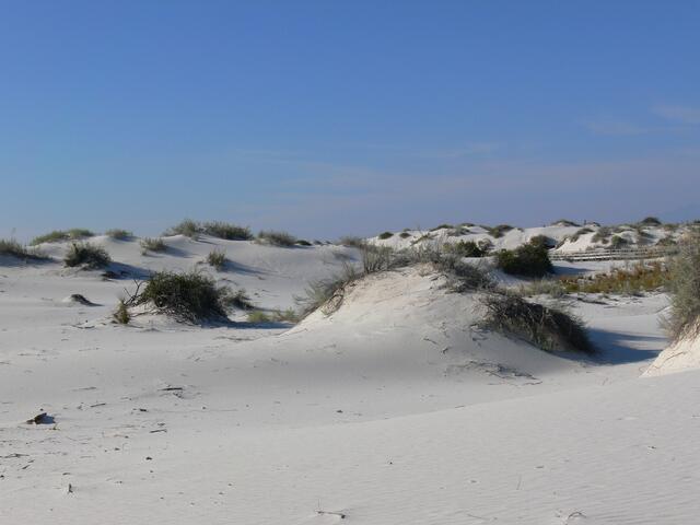 Geh nicht nur glatte Straßen, geh Wege, die noch niemand ging, damit du Spuren hinterlässt und nicht nur Staub.
(Antoine de Saint-Exupery)
(Übrigens: auf dem Bild ist kein Schnee zu sehen, sondern weißer Sand) | Foto: Günter Presnitz
