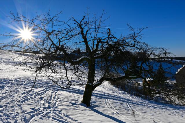 Bei einem Ausflug ins Sauerland konnten man heute (17.01.2025) den Nebel an Rhein und Ruhr hinter sich lassen.