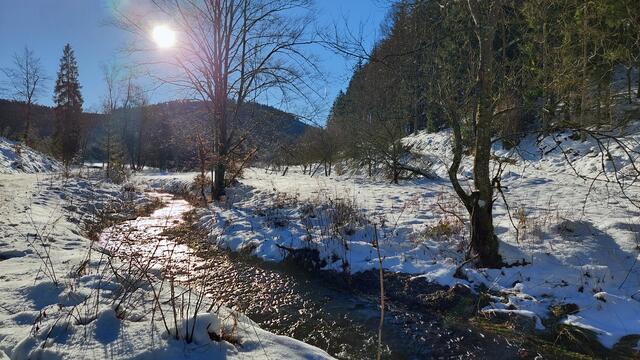 ... die letzte Zeit hat sie sich ja selten blicken lassen. Heute in Wildewiese bei Sundern. Wünsche allen ein schönes sonniges Wochenende 