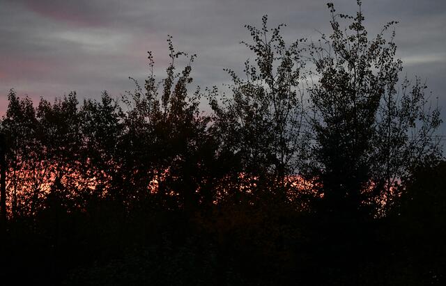 Der Februar ist wie ein Übergang von der Dunkelheit zum Licht. 
In den kalten Wintertagen spürt man schon den Hauch des bevorstehenden Frühlings. 
Februar – ein Monat der Hoffnung und Erwartung.  | Foto: Günter Presnitz