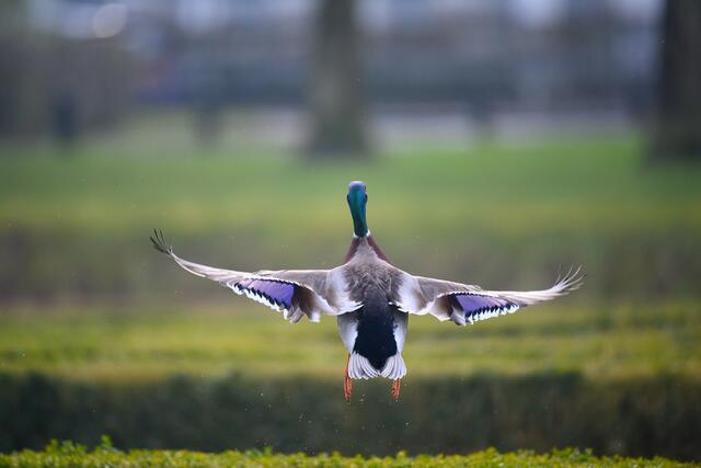 ...Aaaabflug | Foto: Susanne Wunn