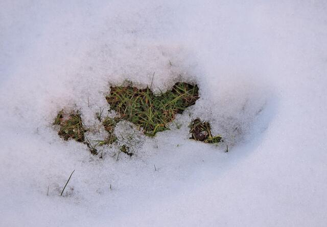 Mit diesem Bild wünschen wir Euch einen angenehmen Valentinstag!
Günter und Sabine | Foto: Günter Presnitz