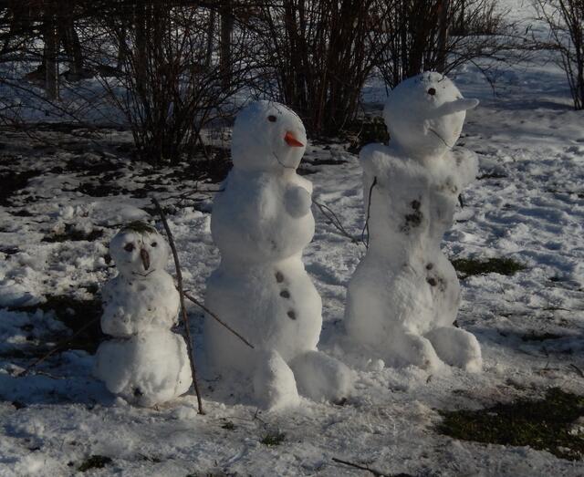 Nicht so oft zu sehen | Foto: JK