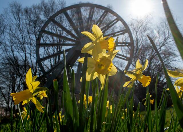 Die Seilscheibe befindet sich zwischen Friedrich-Ebert-Straße und Freiherr-vom-Stein-Straße in Bottrop | Foto: Stefanie Vollenberg