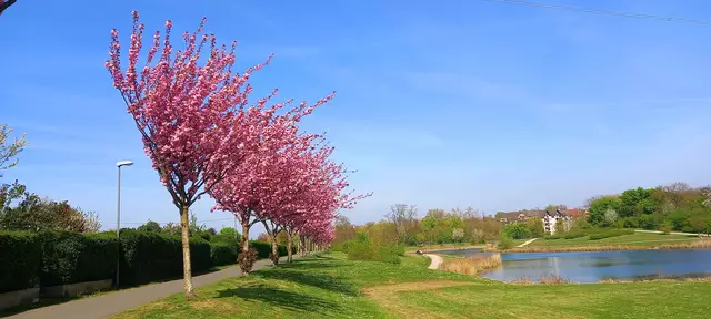 Schnappschuss Niederfeldsee 11.04.2025