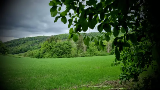 SCHÖNER 
entspannter friedlicher und 
auch lustiger AUSFLUG zu Dritt♥
Nicht einmal großartig Regen abbekommen, eher sogar GAR NICHT :-)))
Elfringhauser Schweiz...
zwischen Hattingen, Wuppertal, 
Sprockhövel +  Velbert ...
Mit dem PKW ist diese landschaftlich sehr schöne, teilweise recht idyllische Gegend
von Bochum, Wuppertal und Essen aus recht zügig und gut erreichbar und für Spaziergänger + Wanderer, Ausflügler´, (Trekking- oder MOUNTAIN-) BIKER (Radfahrer) und selbst für (junge) Familien einfach a very nice place to be!
Auch gastronomisch empfehlenswert, wie auch lecker gesund(es) OBST, Gemüse, Wurstwaren, 
Eier und sonstigen genussvollen Bedarf 
mit heim´nehmend möglich ist!
Für die GAAANZ Kleinen´... gibt es z.B. am "BERGERHOF" auch was´ zu entdecken, lernen, streicheln und spielen...
♥♥♥
Und... lecker STILMUS habe ich heut´ dort gefuttert 
und ... hhhhmmm´für sehr gut + LECKER befunden!

DANKE, war schön mit Euch :-)

MAI 2025@ana´
