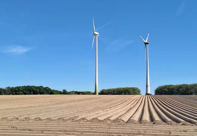 Windkraft und Kartoffelacker 