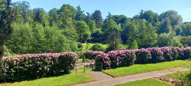 Schnappschuss Terrassenfriedhof Essen-Schönebeck, 11.5.25