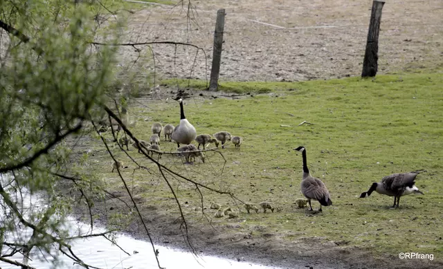 Familientreffen | Foto: HUPfrang