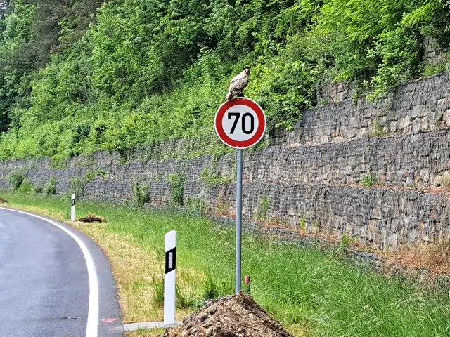 Wenn du zu langsam bist, holt er dich...! | Foto: Patrick Jost