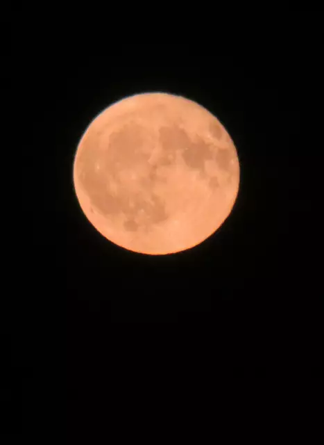 Dieter Schumann hat den Blut-oder auch Erdbeermond
genannt - in der Nacht zu Donnerstag über Dortmund
fotografiert.
Das Bild wurde kurz vor 24 Uhr vom Schlafzimmerfenster
aus gemacht.

