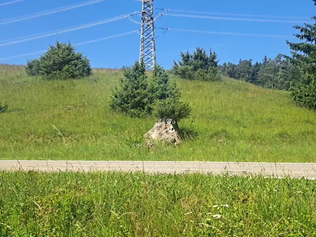 Hoch oben auf der Schwäbsichen Alb hock versteckt der Albtroll. Sein Hobby; Radfahrer beobachten. | Foto: Patrick Jost
