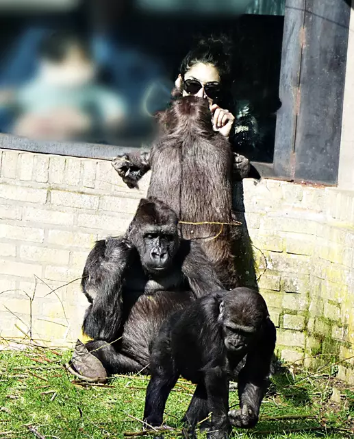   Burger Zoo Arnheim 2017