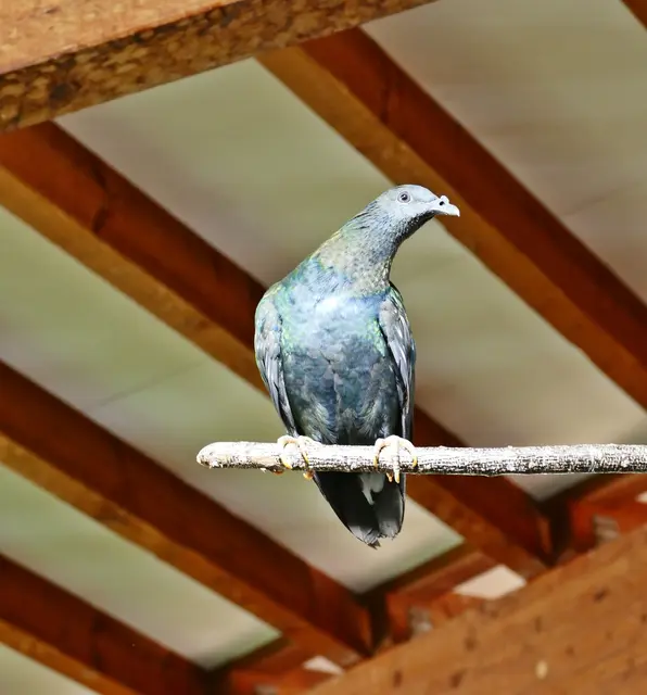 Horumersiel Schillig 