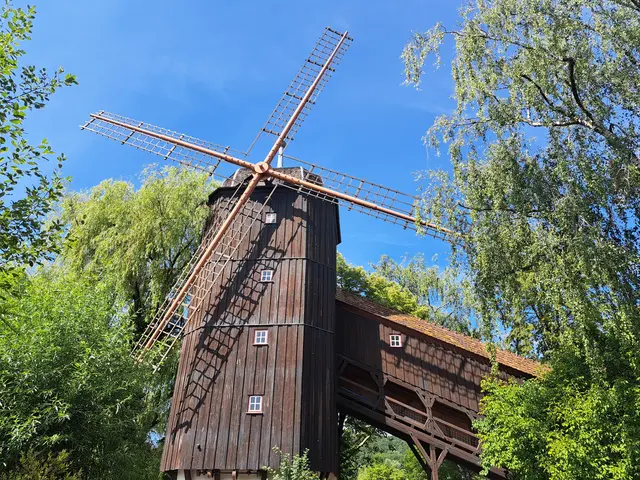 Im schwäbischen Freizeitpark Tripsdrill lädt die Altweibermühler zur Verjüngskur. Alt oben rein, jung unten raus - das verspricht die Rutschpartie. 
Die Altweibermühle wurde damals als Rutschattraktion neben einen Gasthof gebaut, bis heute hat sich daraus Deutschlands ältester Freizeitpark entwickelt. Er befindet sich mitten im Weinberg und hält Attraktionen für die ganze Familie parat. | Foto: Patrick Jost