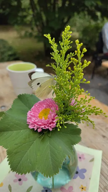 gestern bei einer Geburtstagsfeier