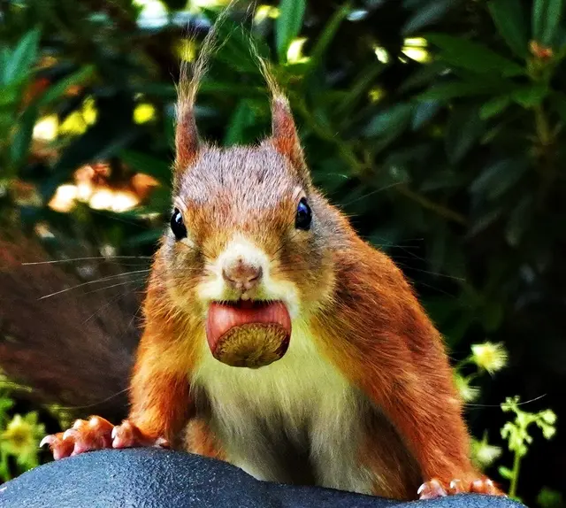 Alt werden ist ne harte Nuss....