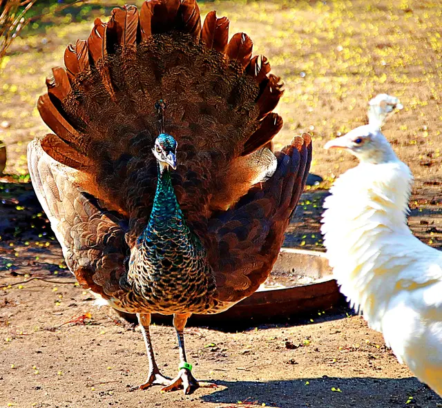 Restwoche soll warm werden...