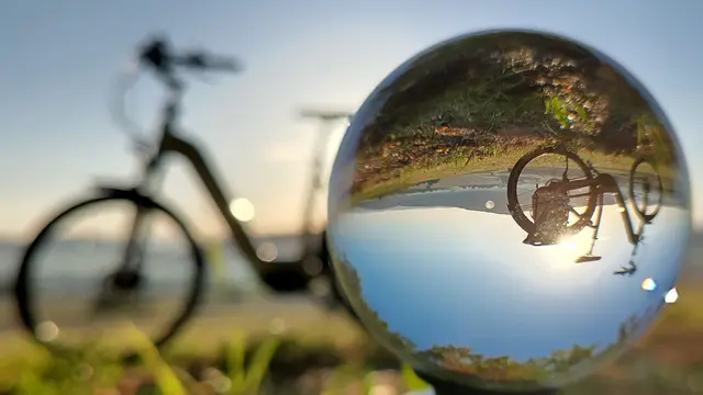 kurz nach Sonnenaufgang am Waldrand aufgenommen