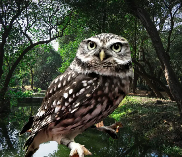 Hintergrund geändert